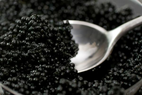 spoon caviar