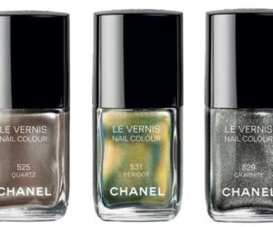 Chanel fall winter 2011 nail polishes