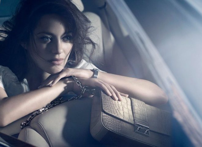 Miss Lady Dior Handbags 2011