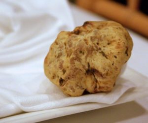 white Italian truffle