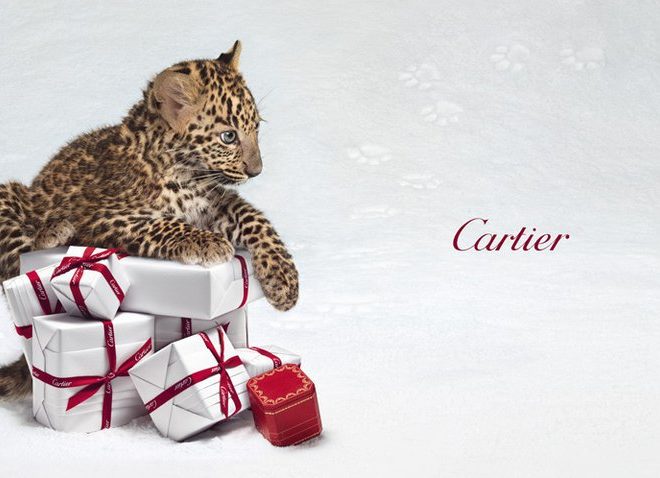 cartier panther ad campaign