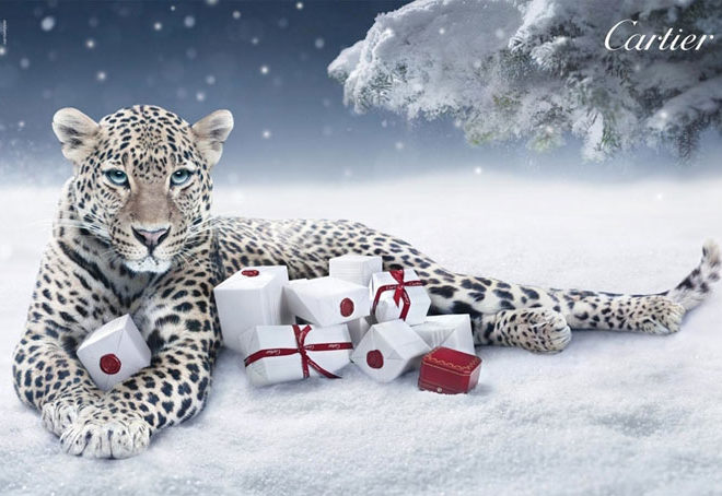 cartier winter tale campaign 2011