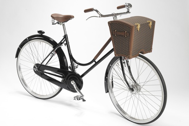 Moynat Bicycle Trunk