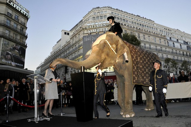 Elephant Louis vuitton