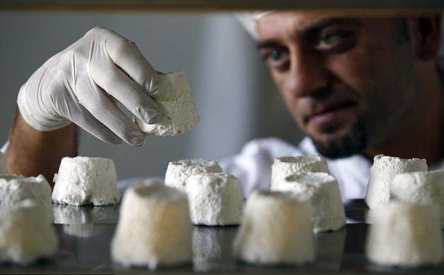 Serbian Donkey Cheese