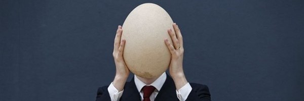 Giant Egg elephant bird