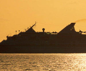 cruises