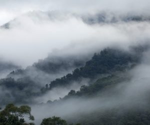 Maquipucuna Cloud Forest