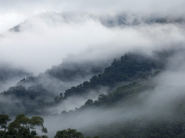 Maquipucuna Cloud Forest