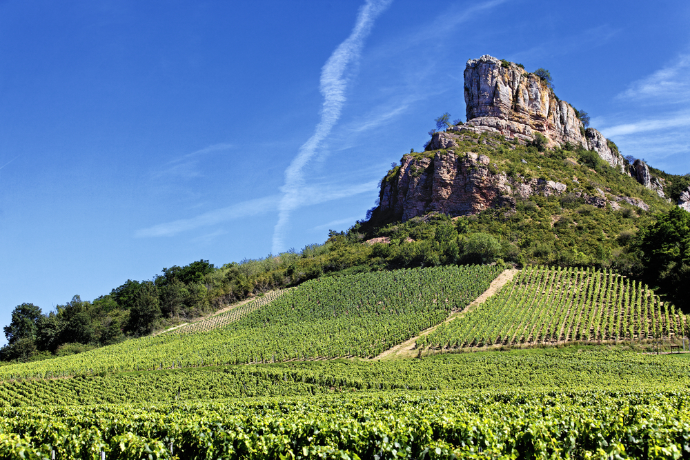 Burgundy Wine