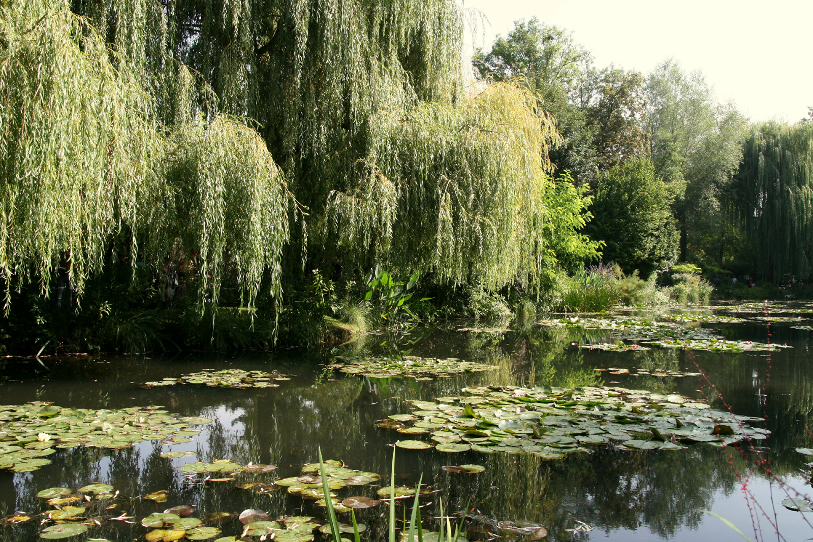 Giverny