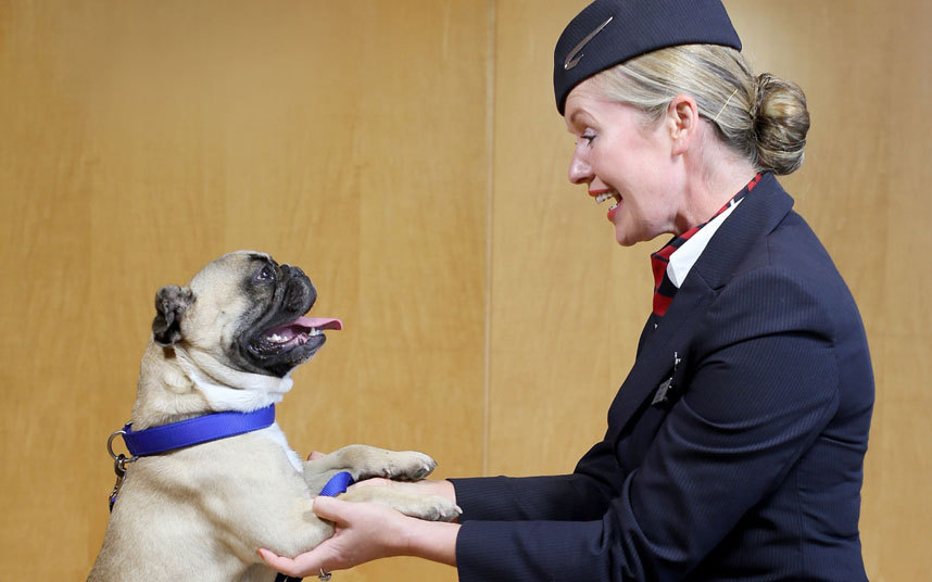 British Airways Paws And Relax