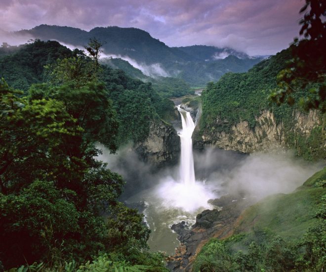 Ecuador Yasuni national park