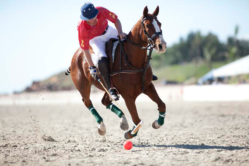 Image courtesy of Cable Beach Polo.