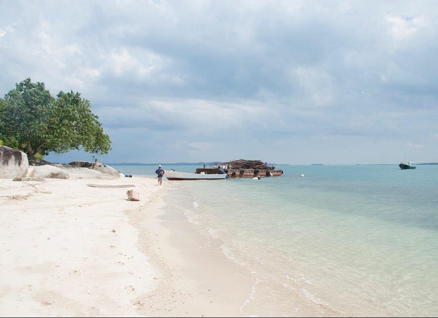 Cempedak