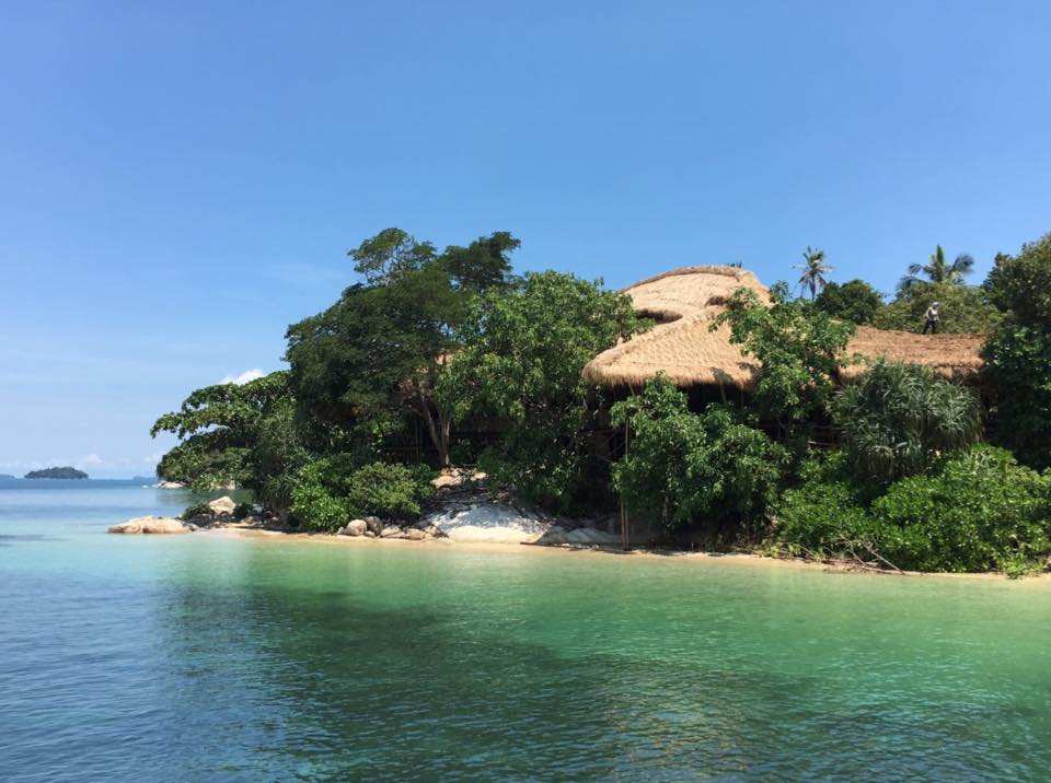 Cempedak
