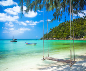 Swing hang from coconut tree over beach, Phangan island