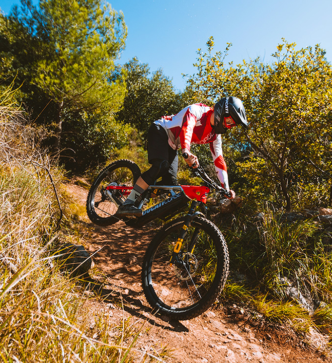 performance mountain bike