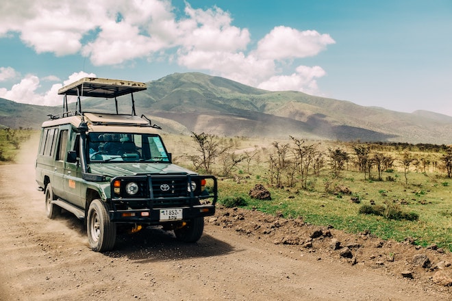 Safari Africa Vehicle