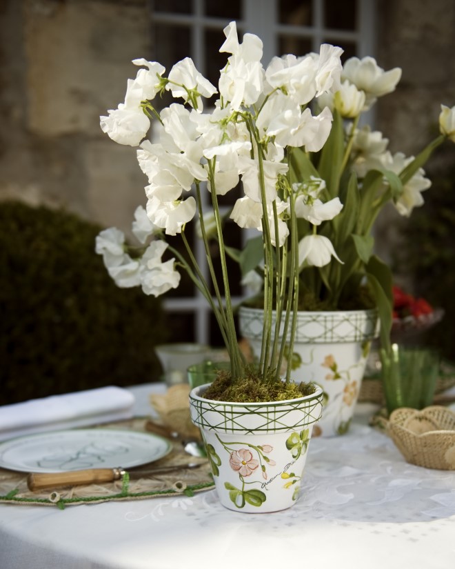 Dior Maison new gardening collection, Lucky Milly