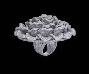SWA Diamond Ring Guinness World Record