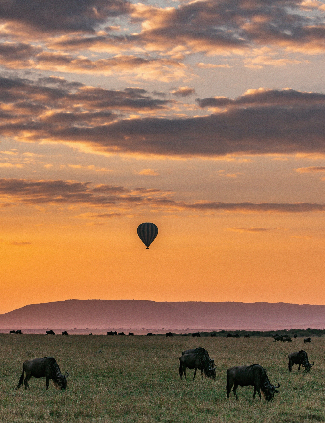 andBeyond Serengeti Under Canvas 