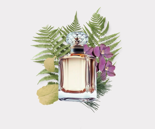 Interior Design Meets Olfactory Excellence Interior Design Meets Olfactory Excellence