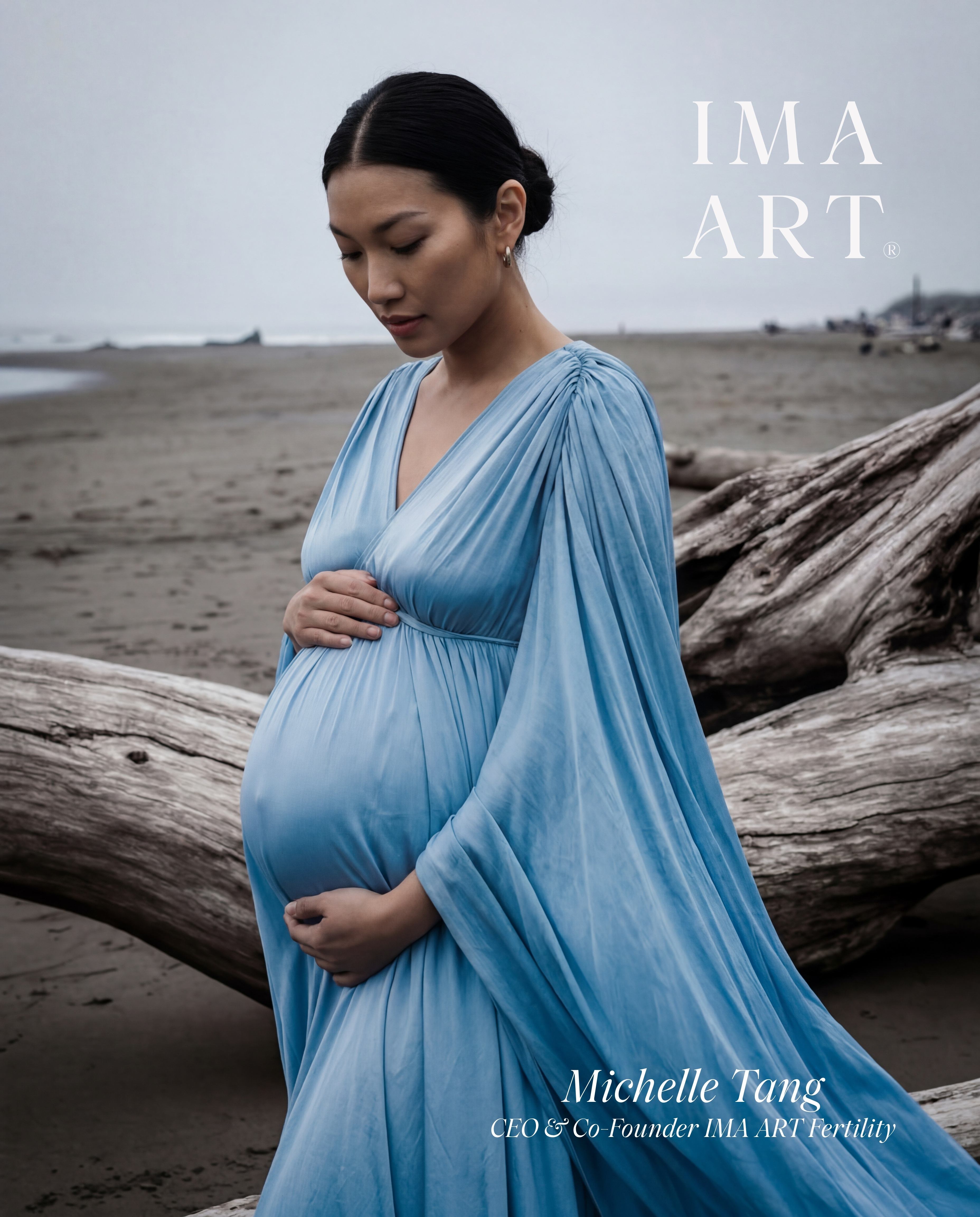 Pregnant woman in flowing blue gown on foggy beach with driftwood – Michelle Tang IMA ART Fertility