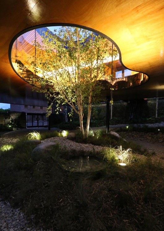 A real tree serves as the centrepiece of Maggie's Centre; visitors can see the garden below. Image: Divisare.com.