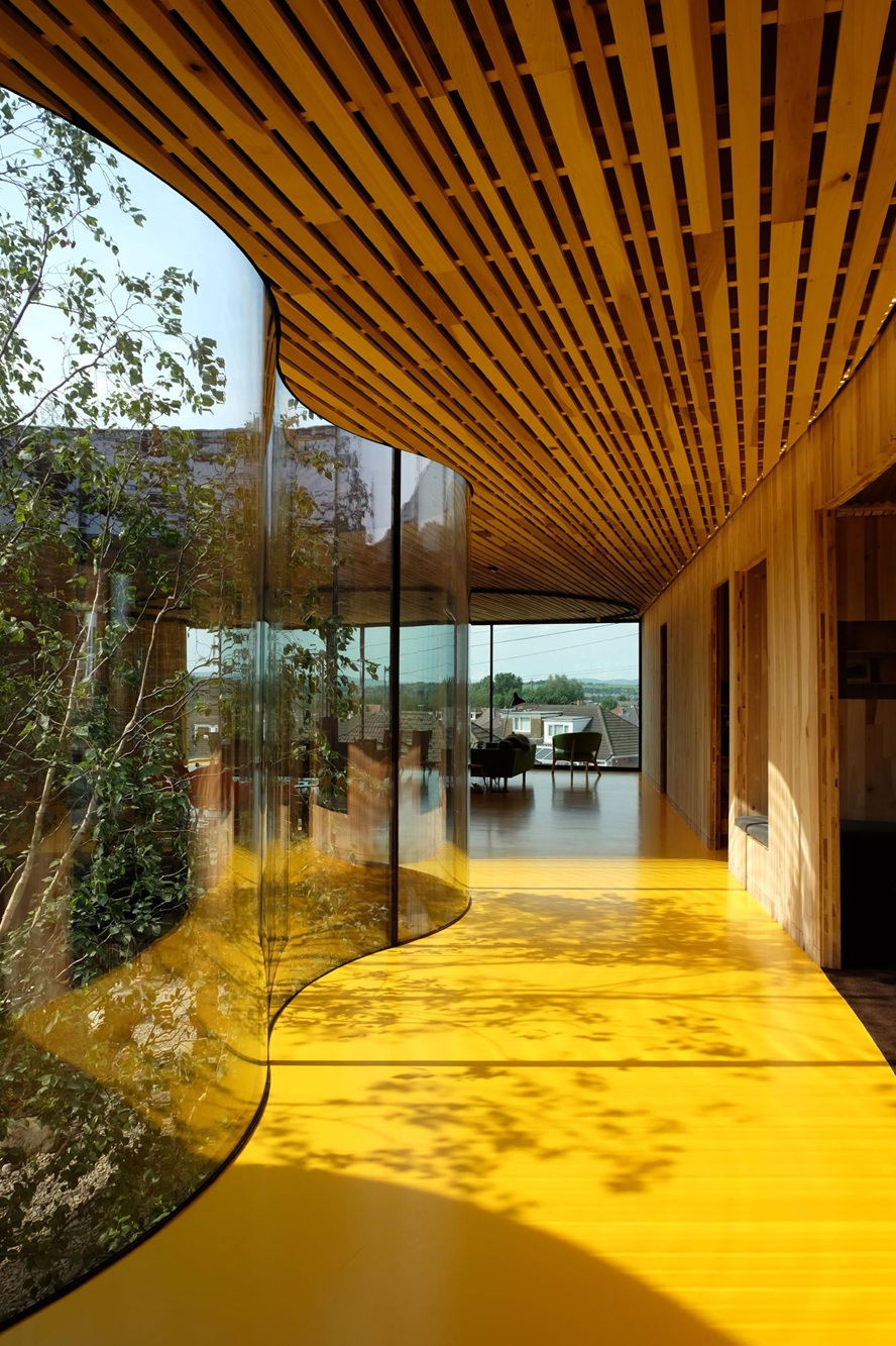 The sinuous glass walls wrap the skylight, allowing the real tree's canopy to peek out. Image: divisare.com