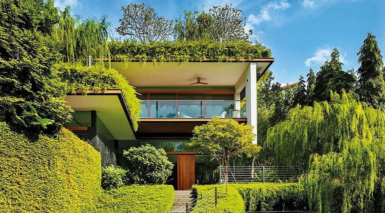 Green roofs and living walls help to absorb or dissipate heat. Image: Patrick Bingham-Hall.