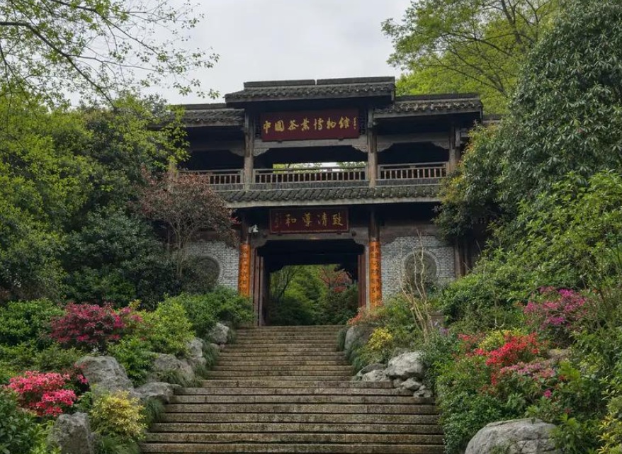 Explore the history of tea at China's National Tea Museum in Hangzhou, China. Image: chinagofreely.com